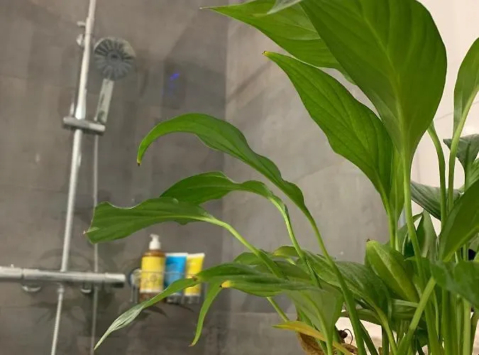 Apartman - 5 Min By Car To The & Center - Free Public Parking *